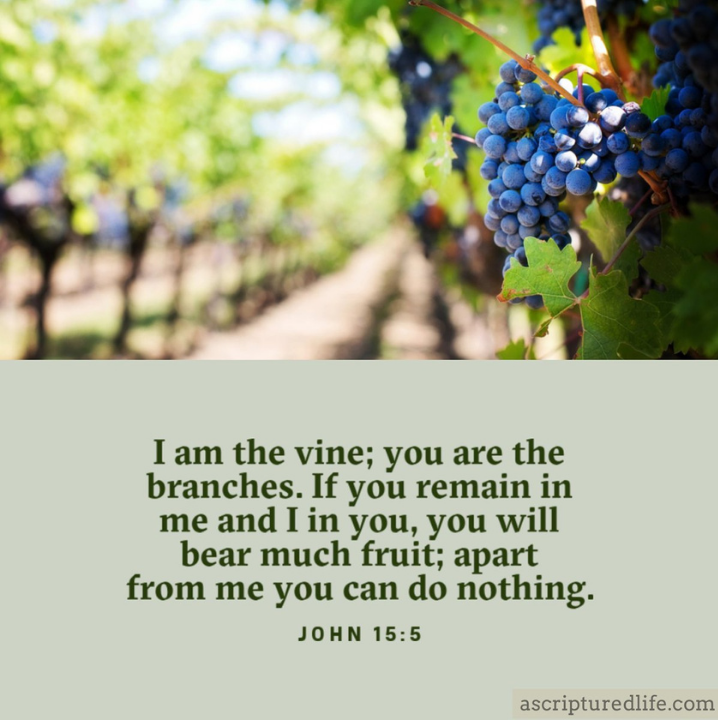 Image with the bible verse John 15:5